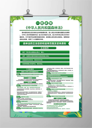 小清新设计一图读懂中华人民共和国森林法展板